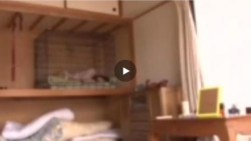 そして妄想を実行した加害者 被害者の運命は…