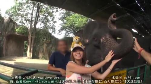 【星美りか】激カワギャルのパイズリフェラに大興奮