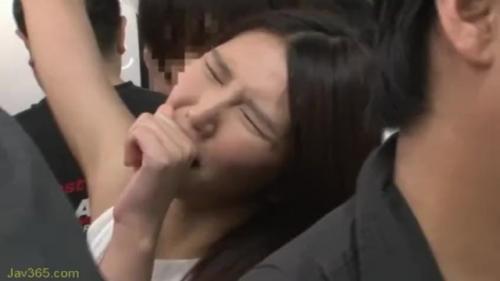 姉ちゃんのおまんこにチンコをスリスリする鬼畜な弟と、弟のちんこを美味しそうにおしゃぶりする姉。満員電車での変態姉弟の痴態ｗｗｗ