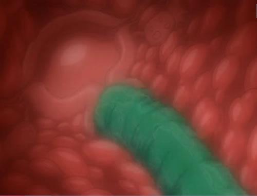 二穴調教で内臓が性感帯になってしまったエロアニメ動画