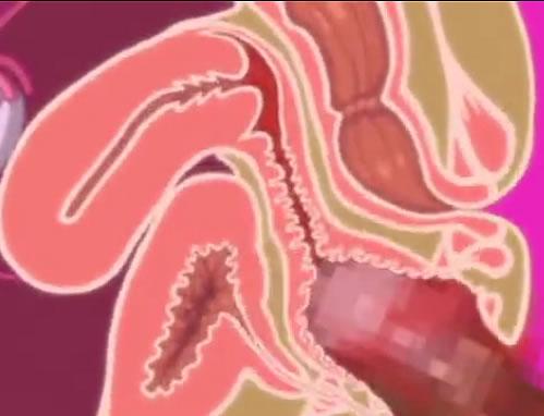 体育授業後の教室に時間停止で忍び込んでちょいブスを狙うｗｗｗｗエロアニメ動画