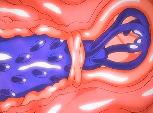 ＜＜触手レイプ＞＞変態鬼畜な触手にポルチオを激しく犯されて中出しされるエロアニメ動画