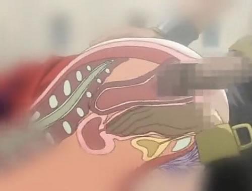 『2穴ｘレイプｘフィスト』子宮に指入れるのやめろぉぉッ！アナルに入ってるチンポをマンコに入れた手でシコるエロアニメ動画