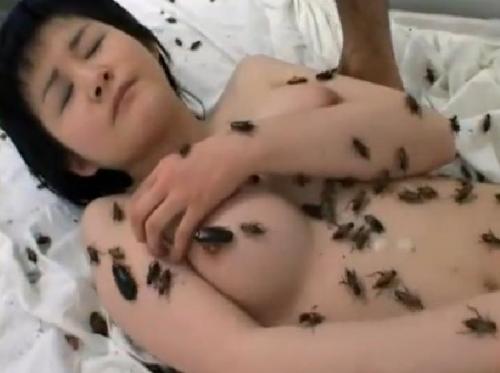 【閲覧注意】AV女優がゴキブリなどの昆虫をミキサーにかけて口移しや体にまとわり付けてザーメンをぶっかけられる衝撃映像！