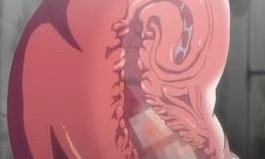 カワイイ獣人たちとの極上マンコ肉セックス！チンポから精液吸いだすようなマンコが最高！