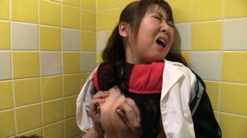 年増OL 熟した働く女性をトイレで！！！　五十路熟女