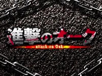 ＜敗北ヒロイン＞進撃の巨人みたいなタイトルかっこE＾＾エルフ姉妹も魔法少女も肉便器にする中出しレイプ!!＜ファンタジー＞