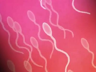 『卵子ｻｶﾞｾｰｰｯ!!』過去に戻って時間停止＾＾ブルマ全盛期の学校に忍び込みタイムストップ＆ハーレム中出しレイプ!!