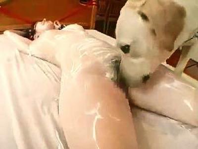 《獣姦》これホントのバター犬じゃんｗｗｗ拘束お姉さんの体の隅々にバターぬりぬり♪犬がペロペロっ〜M女悶絶変態プレイ！ちょっと笑える〜〜ｗｗｗ