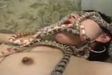《マジ閲覧注意》オマ○コに蛇とかガチ危険行為だろっｗｗｗ！！！◆ガチ泣き◆全身にゅるにゅる〜動きがめっちゃきもいぃい！！！もはや何がしたいの？ってレベルｗｗｗ