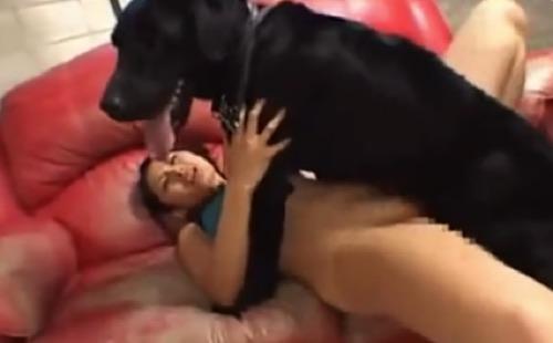 《獣姦》美女にガチ入れ！◆フル勃起デカマラ犬◆めっちゃ交尾に興奮してハアハアハアハアハアってｗｗｗ超高速腰振りピストンで変態女悶絶絶叫！