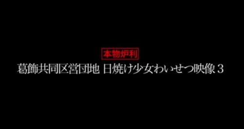 当時、住民を恐怖に陥れた「葛飾共同区営団地連続少猥褻事件」の全貌を公開。