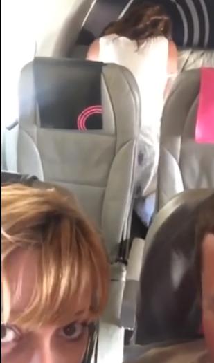 飛行機の中で騎乗位セックスするカップルをウッキウキで撮影！！！