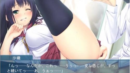 表の顔は才色兼備、裏の顔はドSで独占欲が強い妹。初めてのアナル。