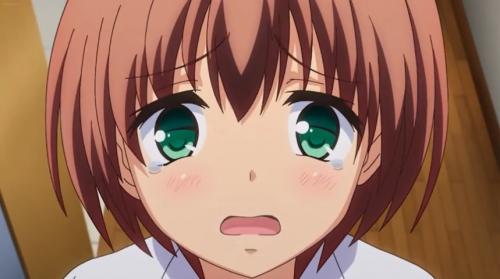 ヤバい姉、弟を性的にも溺愛する姉、親顔座布団。ボクっ娘な後輩、ツルペタ暴走少女、お漏らしからの破瓜。