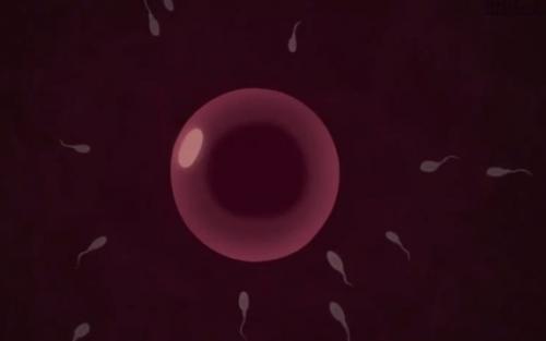 母乳が出ちゃう爆乳美少女が受精しそうな程の乱交エッチしちゃう！