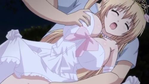 【エロアニメ】巨乳妹とお外でエッチしちゃうお兄ちゃんｗｗｗ