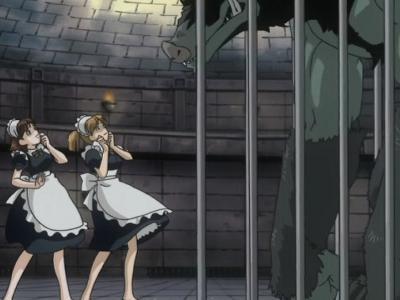 《敗北ヒロイン》解き放たれた巨大な人外モンスターが女騎士を凌辱！！規格外のデカチンで異種姦中出しレイプ！！《エロアニメ》