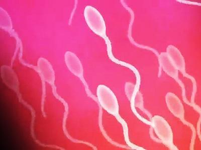 【スリップ＆ストップ】精子群が卵子に突撃！！時空を超えてタイムストップ中出しレイプ×濃厚セックス！！【3Dエロアニメ】