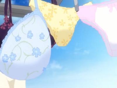 〈鬼畜〉女だらけの家でデカチン無双ーー！！媚薬投与でオナニー撮影×キメセク奴隷に処す脅迫中出しレイプ！〈エロアニメ〉