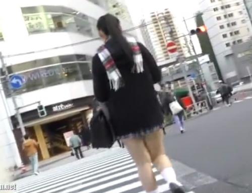 【JK痴漢】以前から狙ってた少女を偶然発見！尾行して電車に乗った所で少女の背後を陣取り未発達な女体を喰い散らかす！！