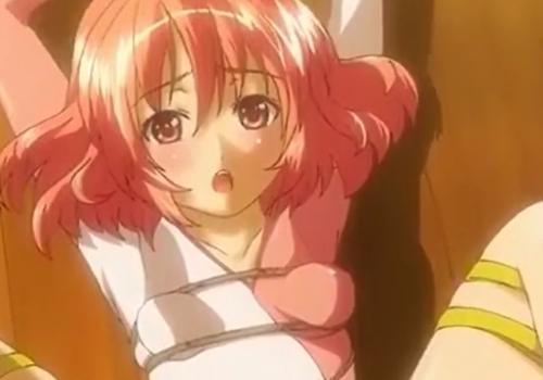 『ロリアニメ』すべてのセックスはレイプのみ！！レオタード姿の貧乳娘を縛り上げてドロドロにしてやるっ！！