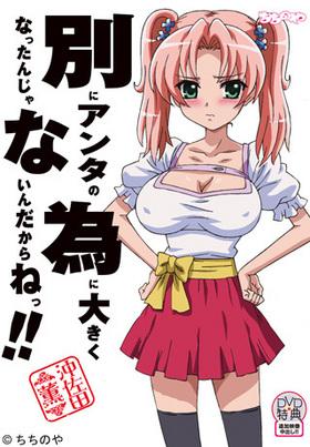 エロアニメ　巨乳おっぱい美女なお嬢様とのエッチな勉強の日々　積極的でスケベなお嬢様