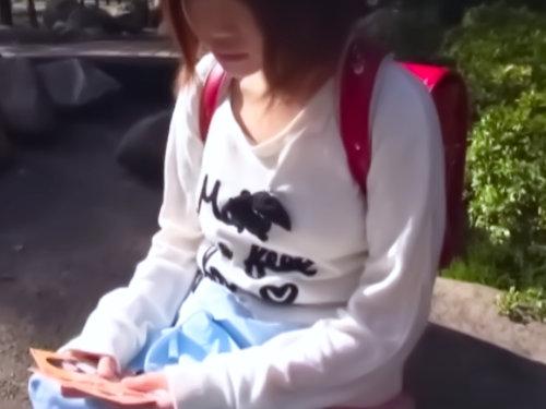 【公然ワイセツ】お嬢ちゃん､､おじさんと遊ぼうか？無警戒なJS少女連れ去り猥褻！閲覧注意の鬼犯罪！無毛ワレメに生挿入！