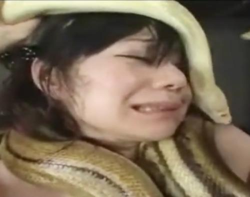 【獣姦】※閲覧注意※大量のヘビに巻き付かれて陵辱される女！嫌がる中アナルに蛇の頭を入れられたりヤバすぎww