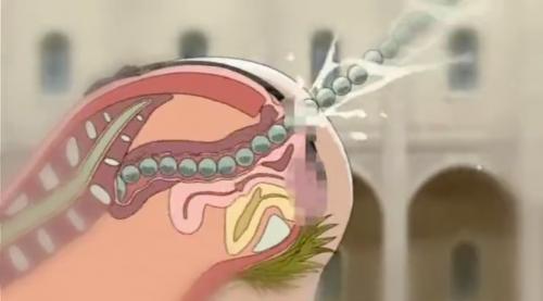 爆乳肉奴隷のメス豚になり、露出変態行為を強制され、興奮を覚える超変態オンナ♡