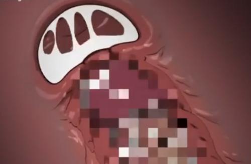 【中出し映像】発育の膣の中に出す瞬間、小さな子宮の中に出す瞬間ってこうなってるんだぁー‼