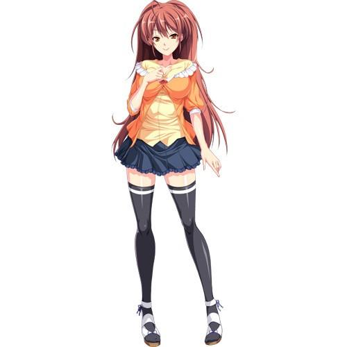 エロゲ―　ネットアイドルがファンから犯されSEXの虜に堕ちていくまでを描いた物語