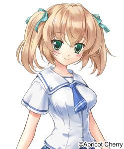 エロゲ―　姉に近づくのは全て敵、お仕置きに犬の散歩プレイ　ドM本性開花ドスケベ金髪美少女娘