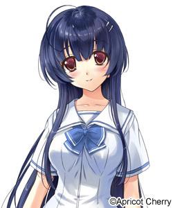 エロゲ―　黒髪ロングの美人生徒会長はエッチに興味あり　巨乳おっぱい丸出しで学校の階段で放課後に種付けSEX