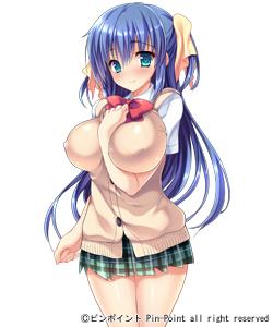 エロゲ―　巨乳おっぱい美女だったために陵辱されケツ穴もおマ〇コも好き放題される肉便器便女ペット