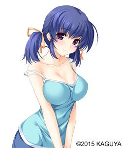 エロゲ―　エッチしてと懇願フェラしてくる巨乳おっぱい美女　チロチロチンポを舌先で舐めザーメン口内射精