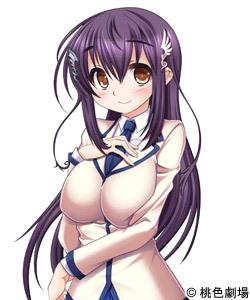 エロゲ―　お姉ちゃんからのチンチンシコシコからの騎乗位SEXでパコパコ　ザーメン中出し