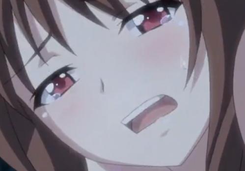 レイプしたうえ、それをネタに脅迫してさらにレイプを重ねる鬼畜