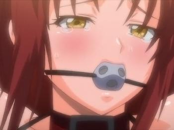 猿轡をはめられ調教された美女が大きいオチンチンを求めてしまう
