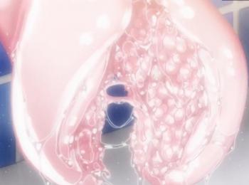 《おねショタ》ヌルヌルヒダヒダの極上オマンコでショタちんぽ食べちゃうお姉さん