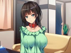 《エロゲー》綺麗な黒髪の従妹のデカオッパイに欲情してSMプレイで調教する