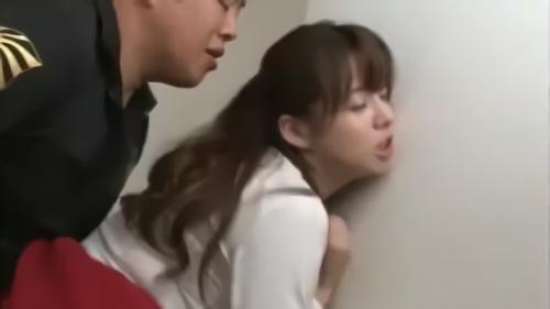 『フェラ』家へ遊びに来た妹夫婦を受け入れ、妹は姉の旦那を誘惑し始めると…見たことのない夫の姿に戸惑いやっかみする姉。そしてその姉を襲う妹旦那！