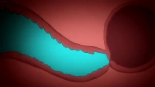 幼女の小さい性器の中にデカチンが入る様子が丸見え♡