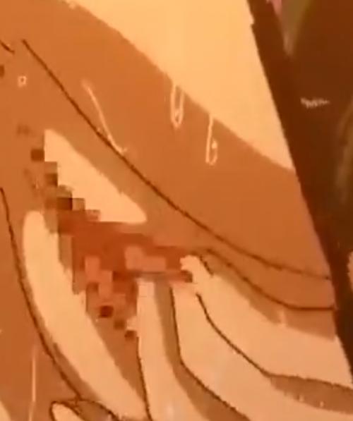 美女がふたなり少女にやられまくる！！