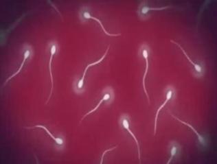 子づくりSEXで着床確実♡子宮で精子が暴れまわる！
