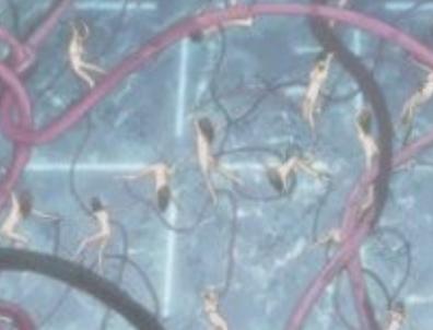 みんな触手に気持ちよくしてもらってるみたいですww