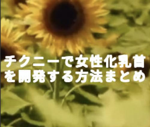 チクニーで女性化乳首を開発する方法を教えます