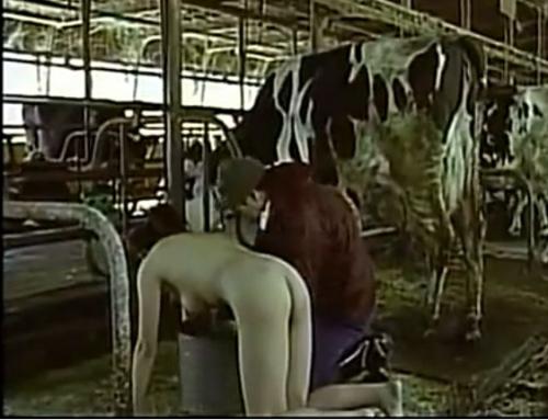 【残酷　地方都市の人乳牧場】令和になって完全に禁止された悪習、産後の嫁を人乳製造機として牧場で飼って、母乳を搾って老人に飲ませ長寿を維持