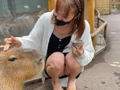 【ガチの個○撮影】『これが素人カップルのデート！』コロナ禍でJD彼女と動物園デート→露天風呂で野外露出セックスしハメ撮り