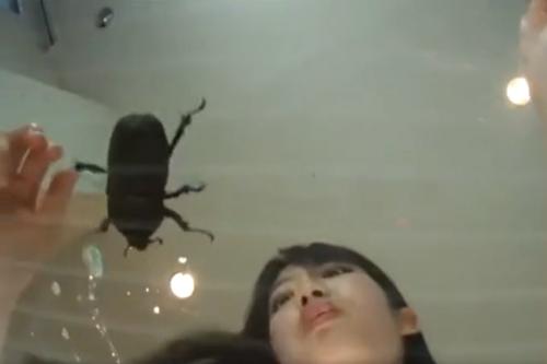 ＜閲覧注意＞JKのクラッシュ動画です！苦手な方は見ないでください！！